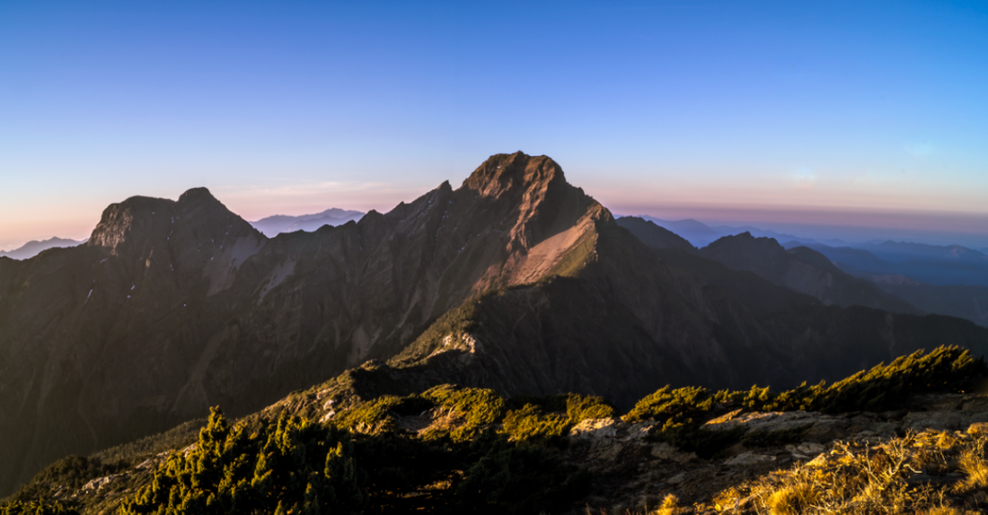 Black Turmeric grown on the foothills of Bhutan