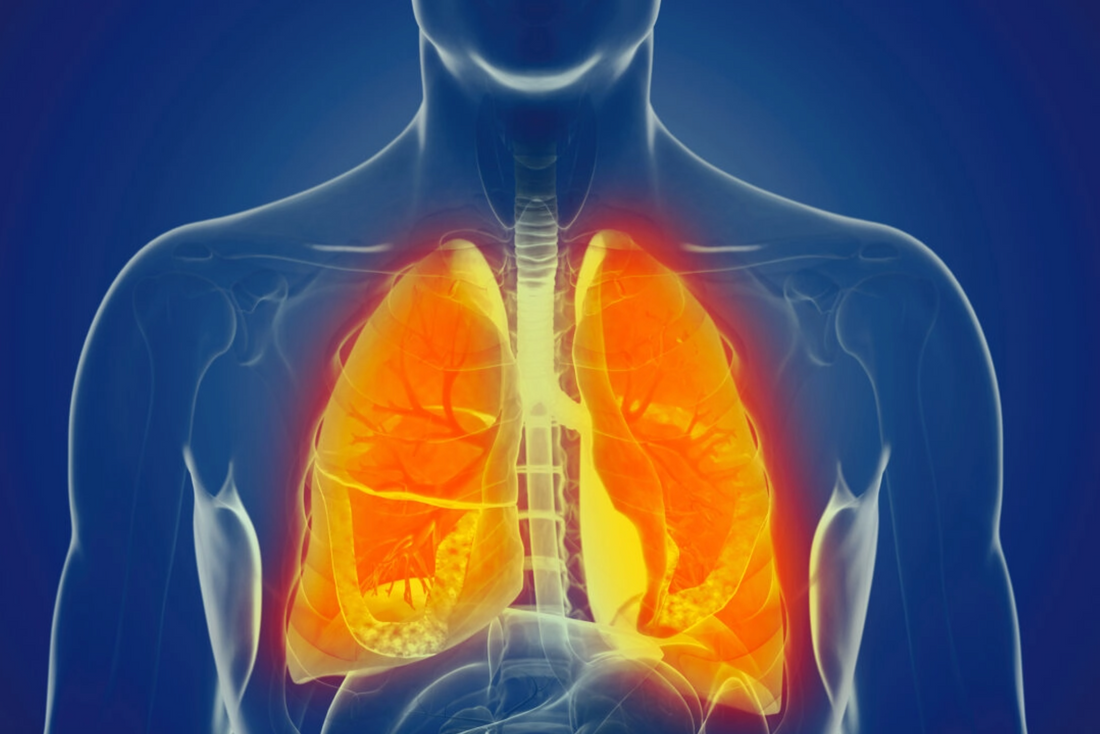 The Surprising Connection Between Gum Health and Respiratory Diseases
