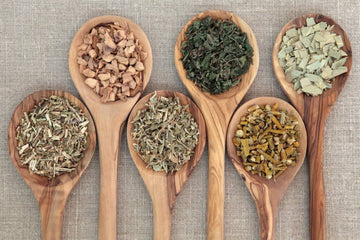 The Best Plant-based Anti-inflammatory Ingredients for Gum Health in 2025
