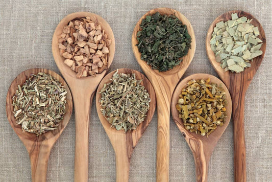The Best Plant-based Anti-inflammatory Ingredients for Gum Health in 2025